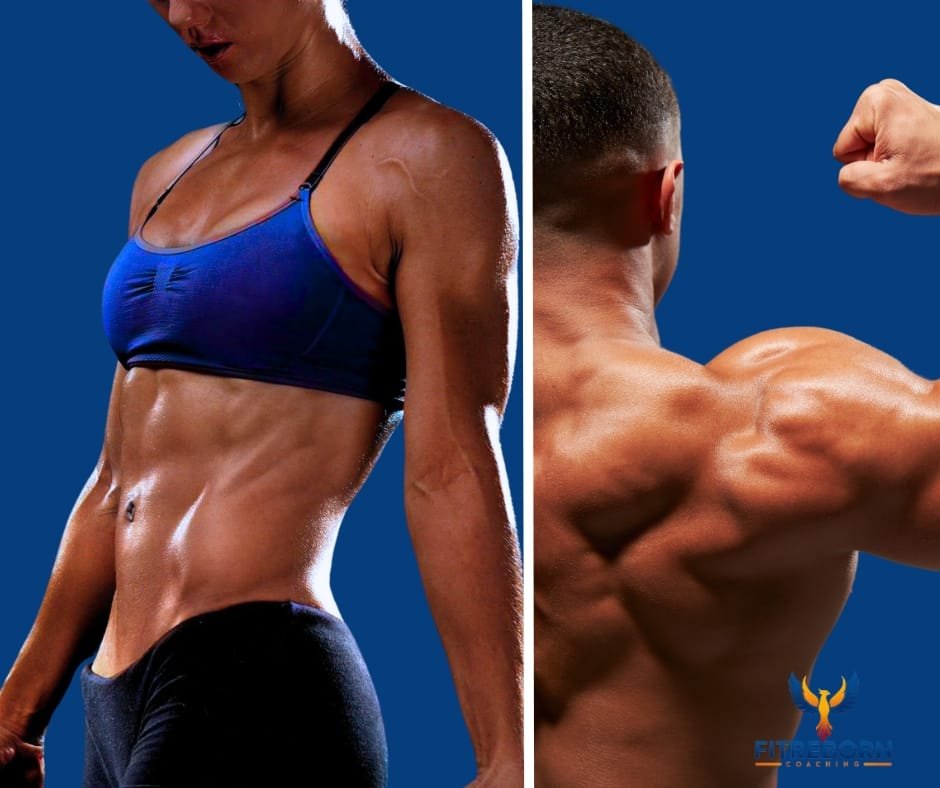 Nouvelle vie, Nouvelle forme by Fitreborn Coaching